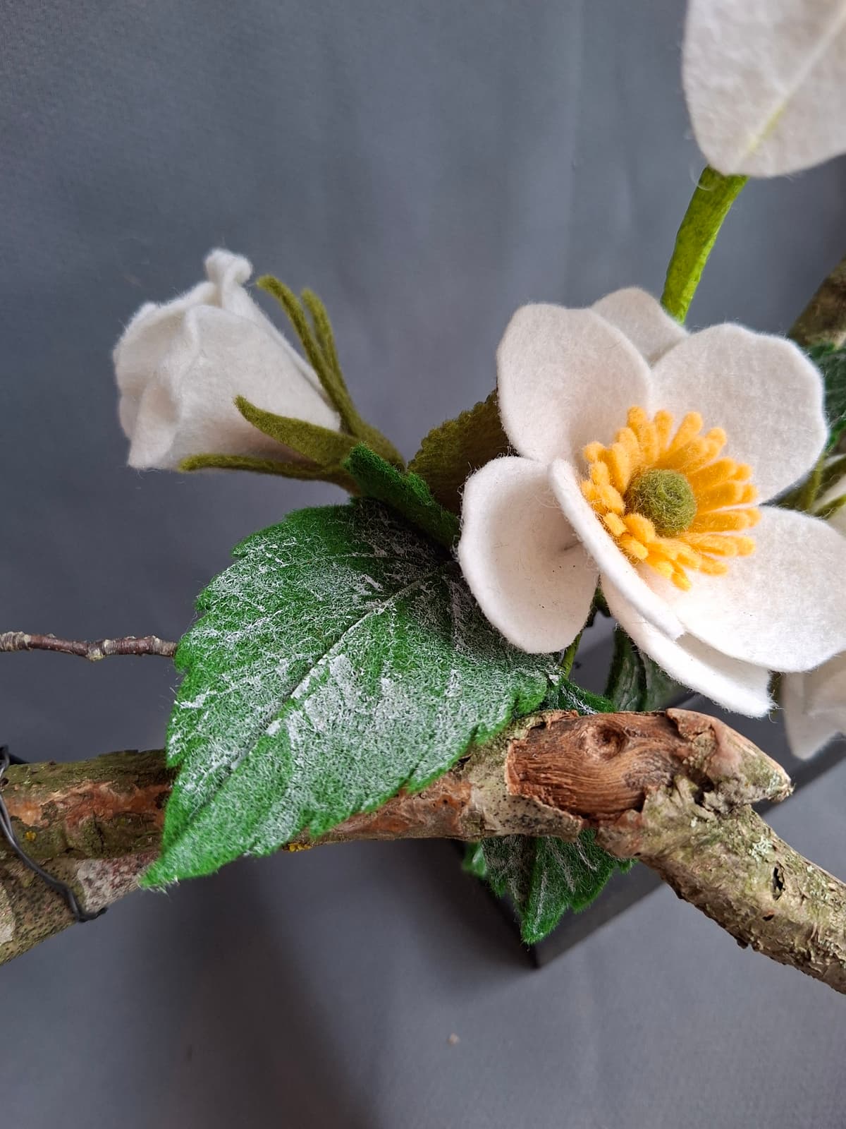 642d1a9f-5c5c-48e2-b6b1-30e55fbe4b42-1_all_1564