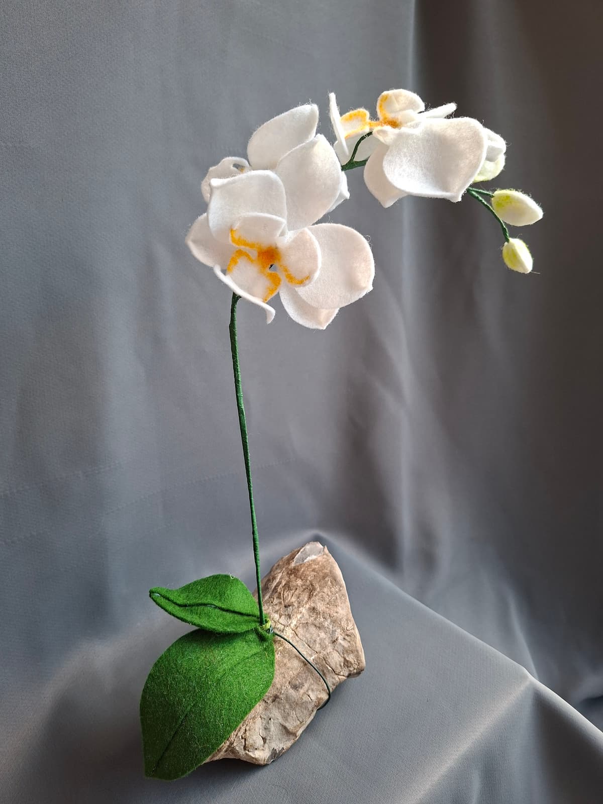 642d1a9f-5c5c-48e2-b6b1-30e55fbe4b42-1_all_1657