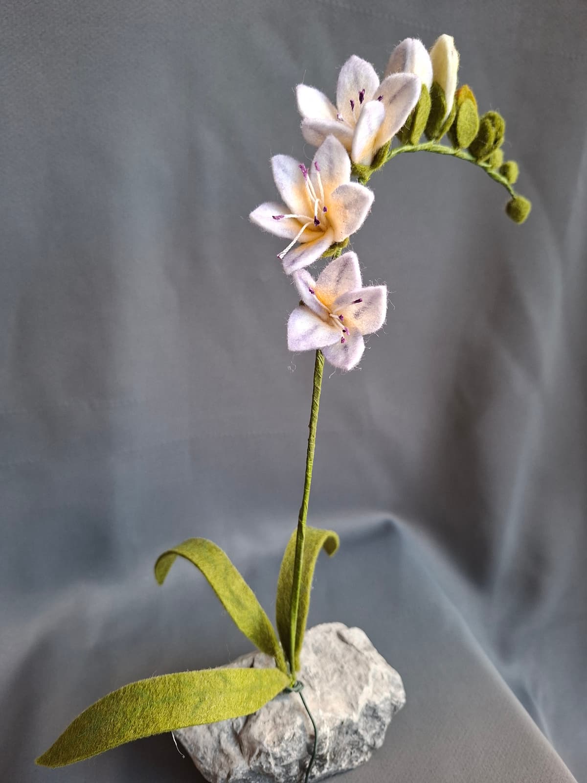 642d1a9f-5c5c-48e2-b6b1-30e55fbe4b42-1_all_1655