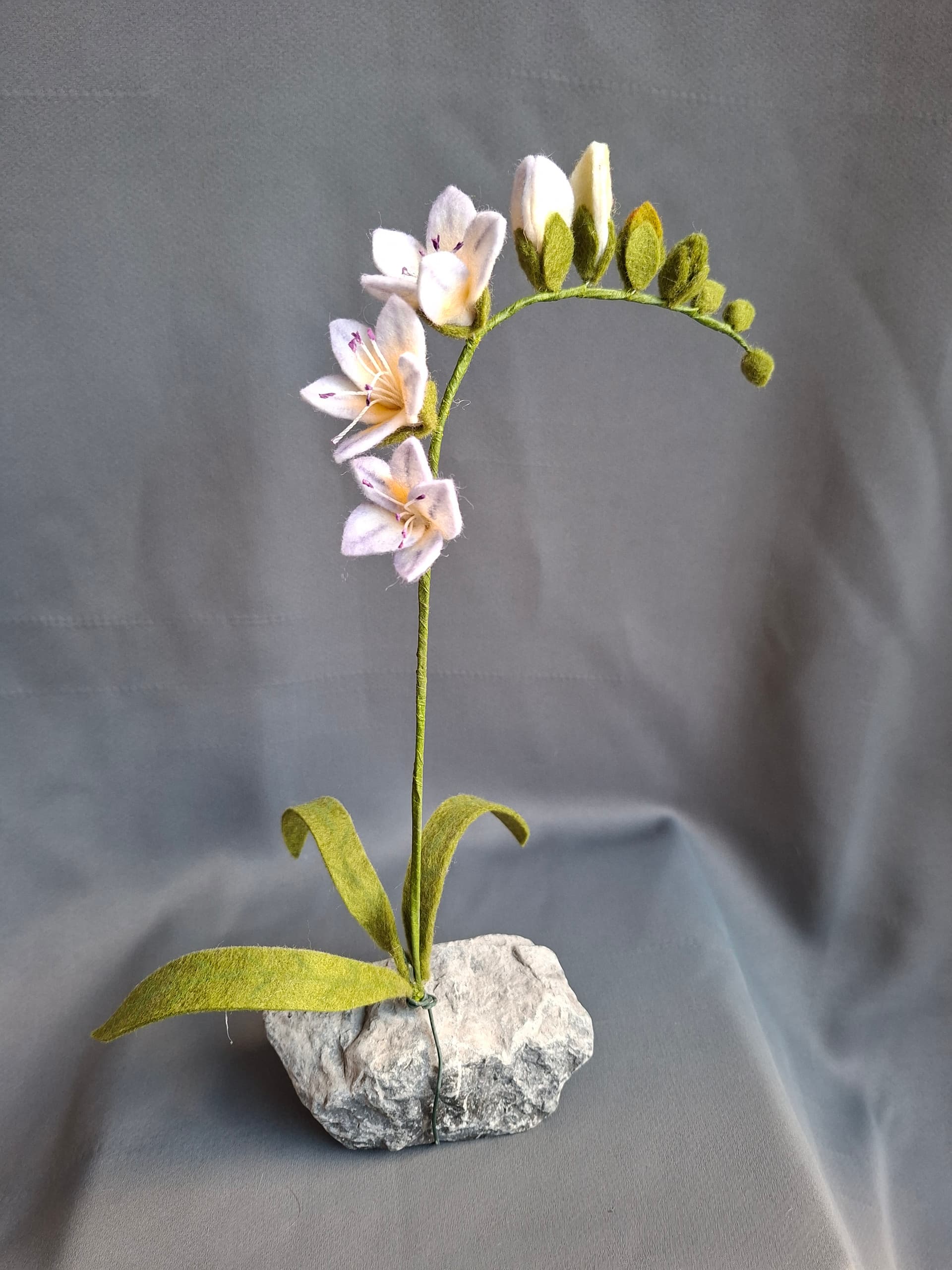 642d1a9f-5c5c-48e2-b6b1-30e55fbe4b42-1_all_1656