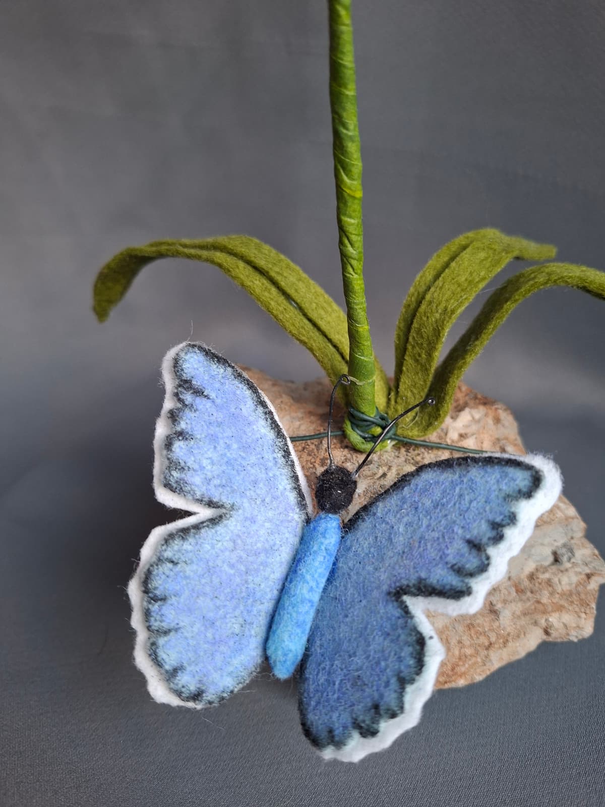 642d1a9f-5c5c-48e2-b6b1-30e55fbe4b42-1_all_1629