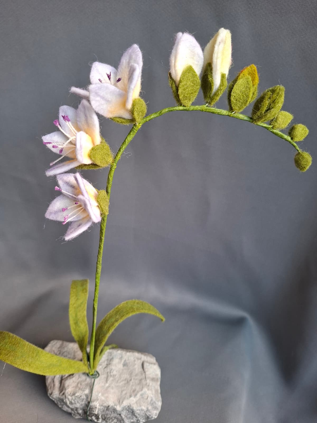 642d1a9f-5c5c-48e2-b6b1-30e55fbe4b42-1_all_1693