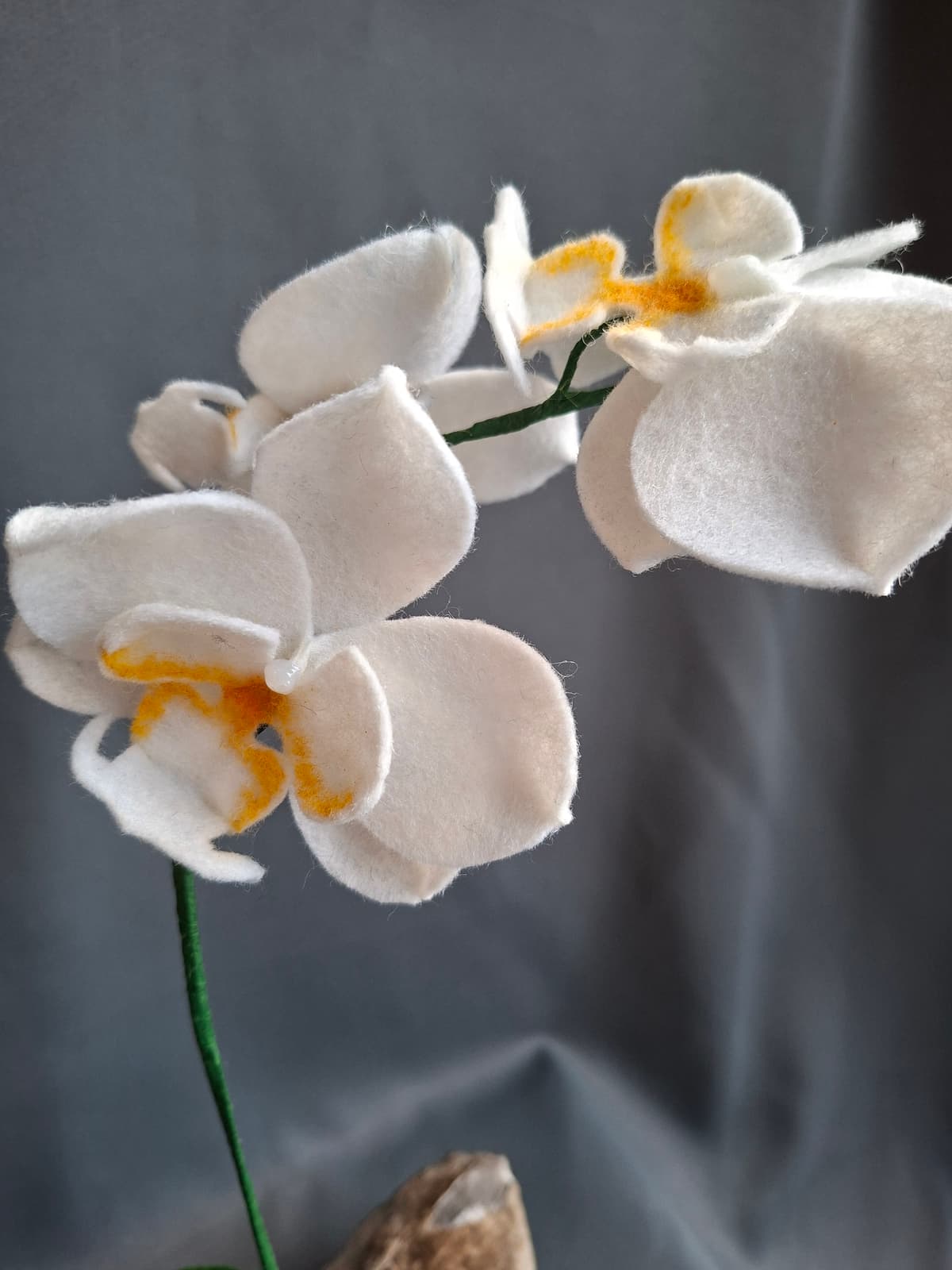 642d1a9f-5c5c-48e2-b6b1-30e55fbe4b42-1_all_1696