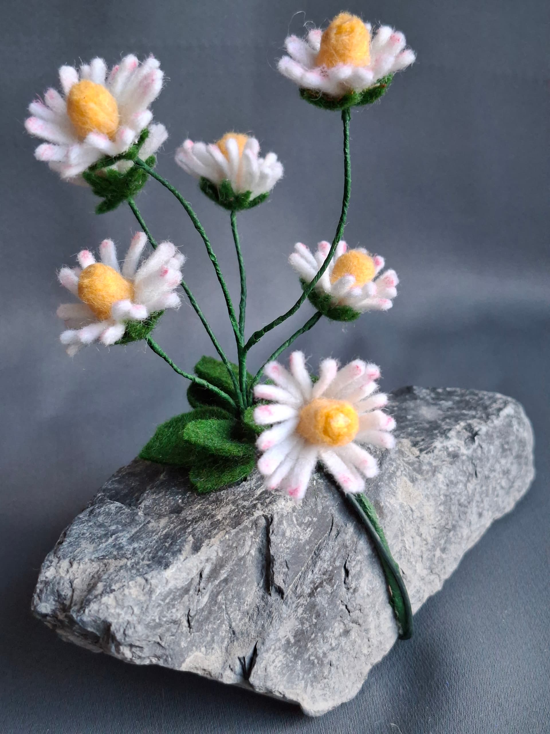 642d1a9f-5c5c-48e2-b6b1-30e55fbe4b42-1_all_1691