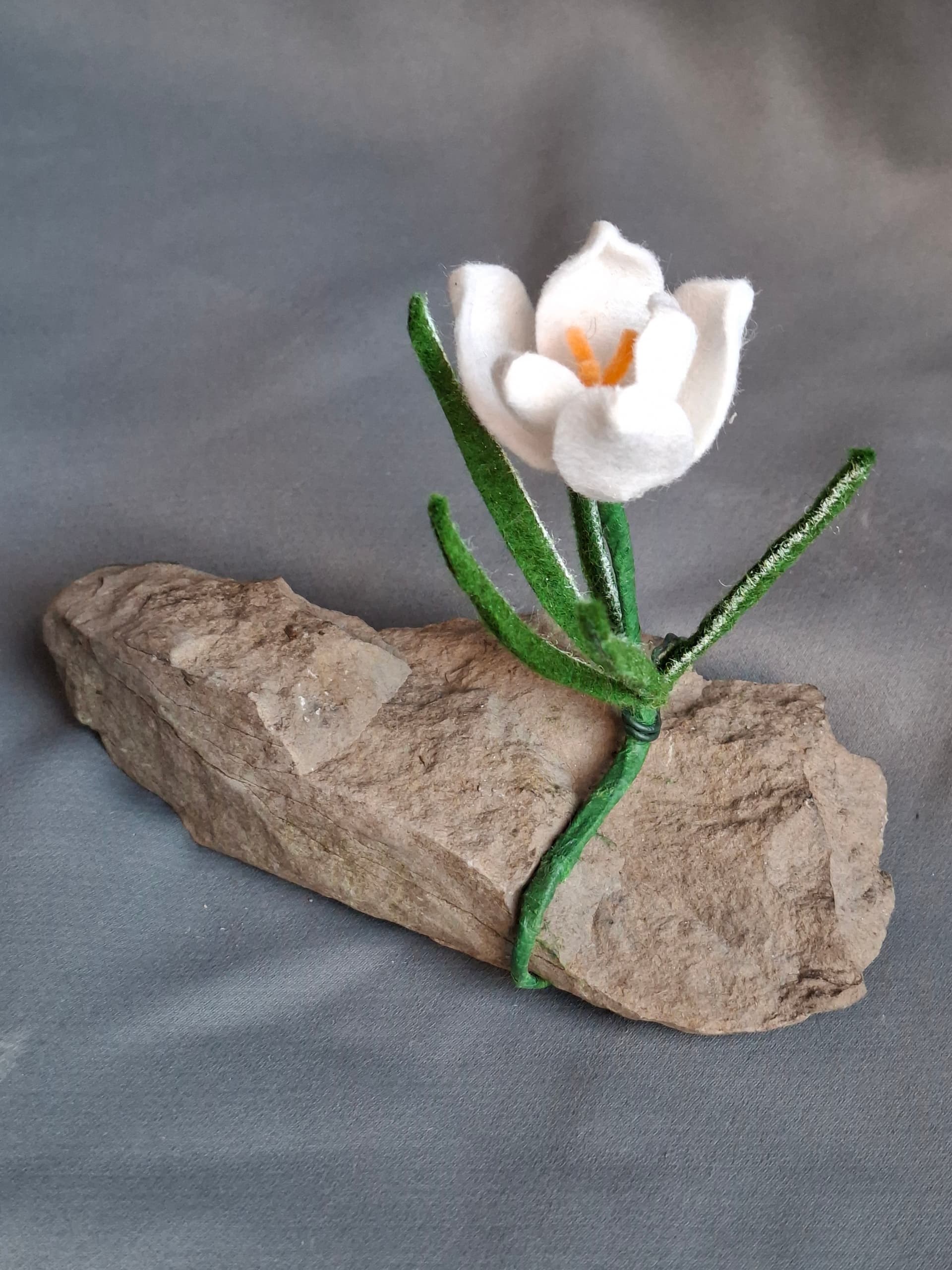 642d1a9f-5c5c-48e2-b6b1-30e55fbe4b42-1_all_1651