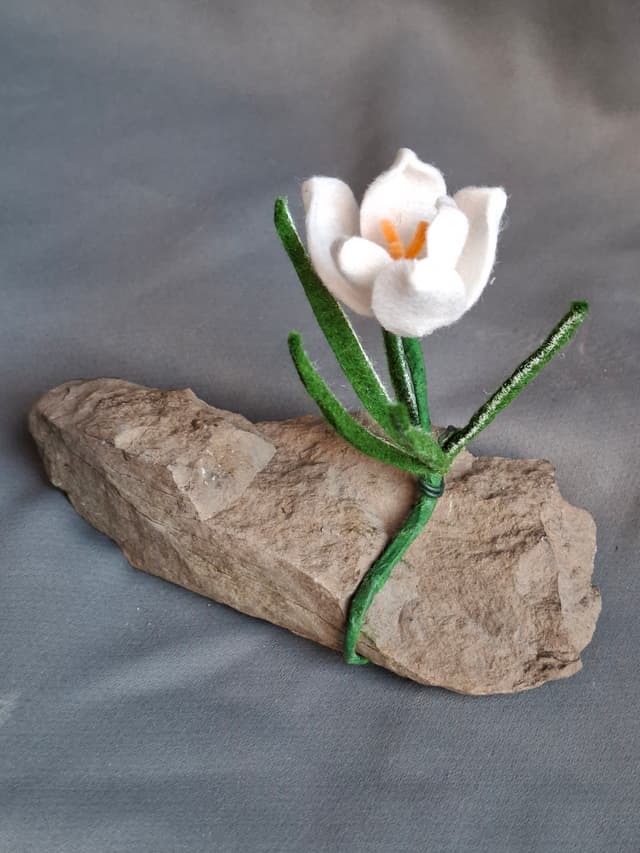 642d1a9f-5c5c-48e2-b6b1-30e55fbe4b42-1_all_1651