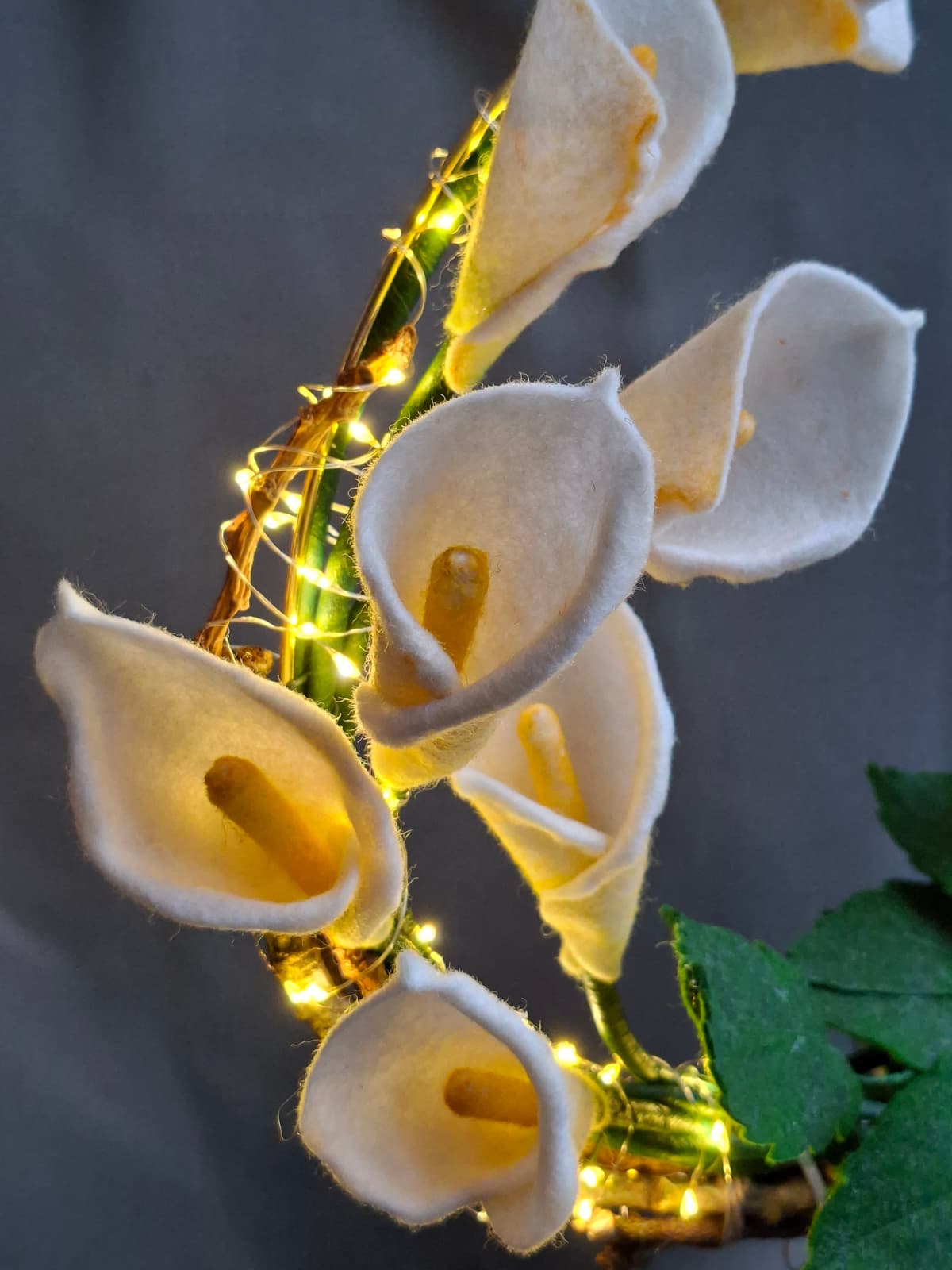 642d1a9f-5c5c-48e2-b6b1-30e55fbe4b42-1_all_1572