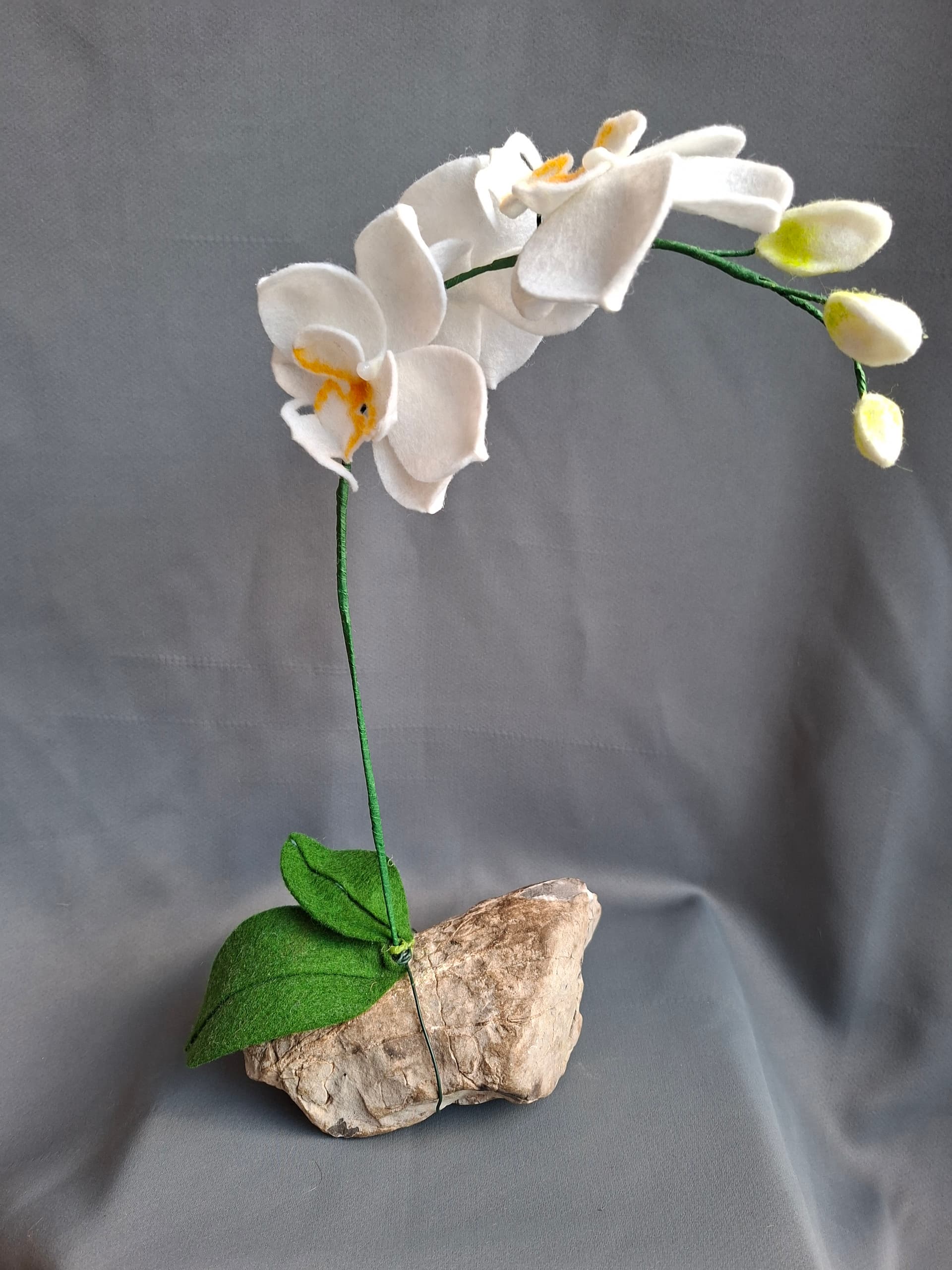 642d1a9f-5c5c-48e2-b6b1-30e55fbe4b42-1_all_1658