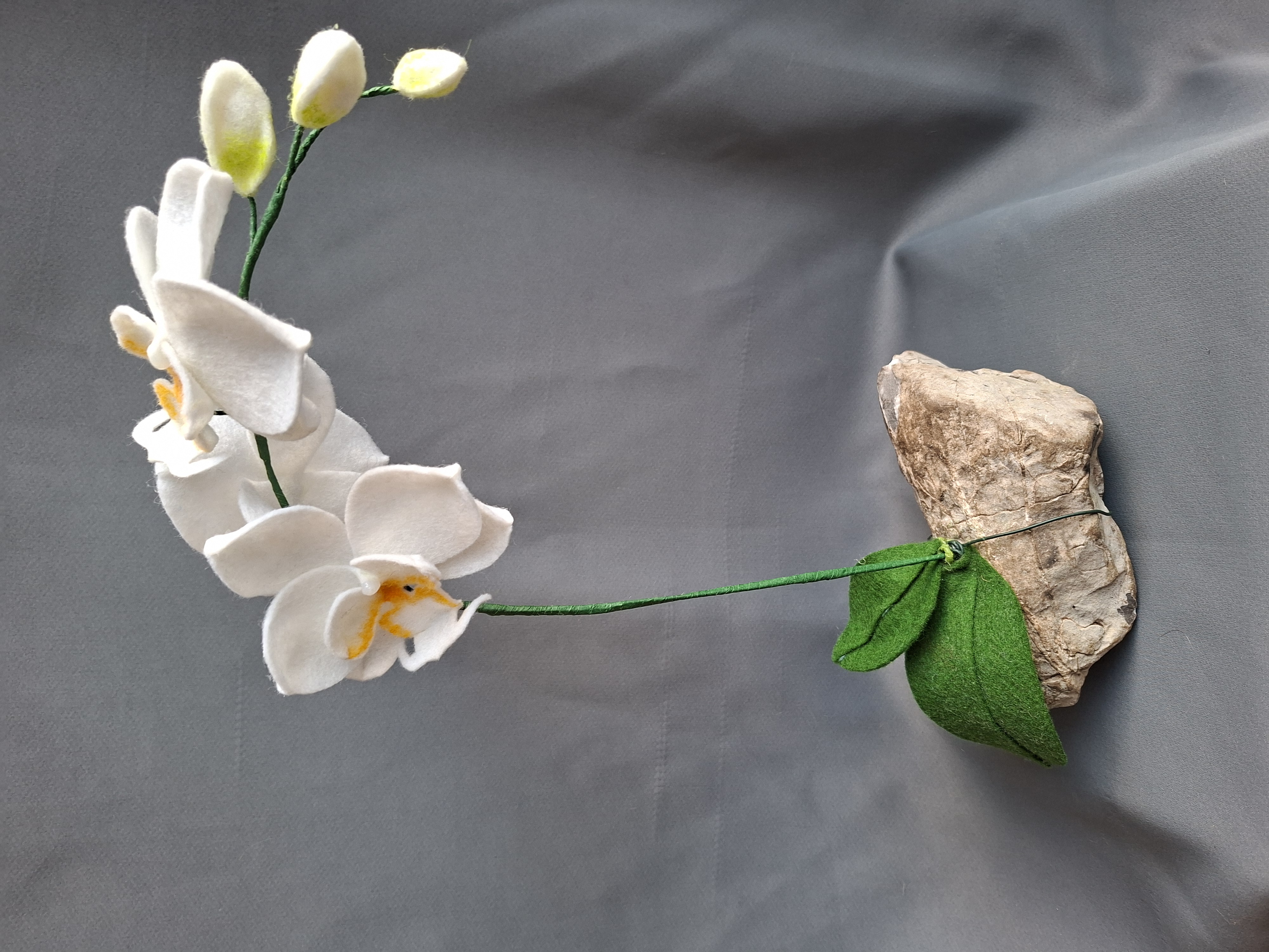 642d1a9f-5c5c-48e2-b6b1-30e55fbe4b42-1_all_1658