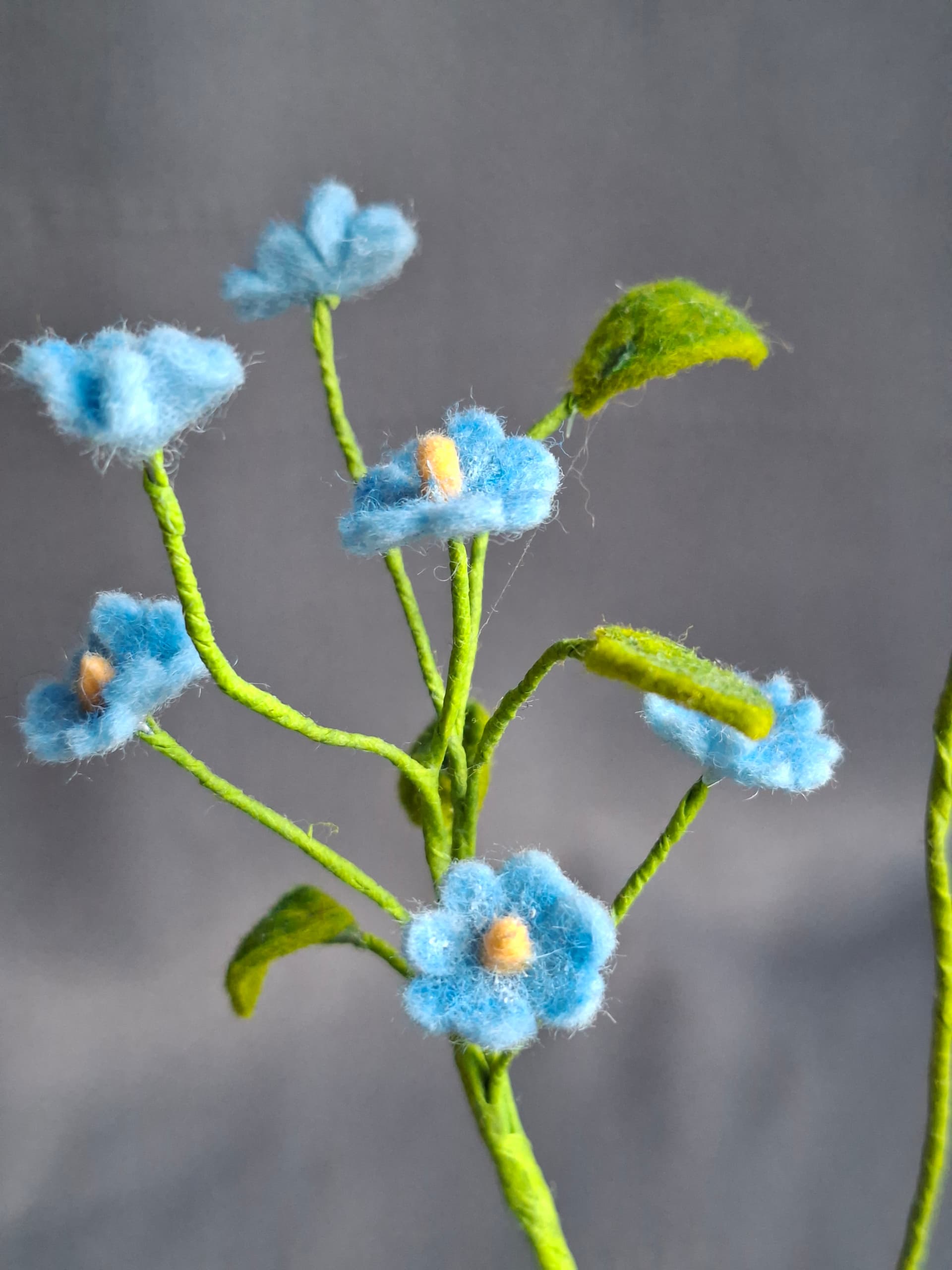 642d1a9f-5c5c-48e2-b6b1-30e55fbe4b42-1_all_1690