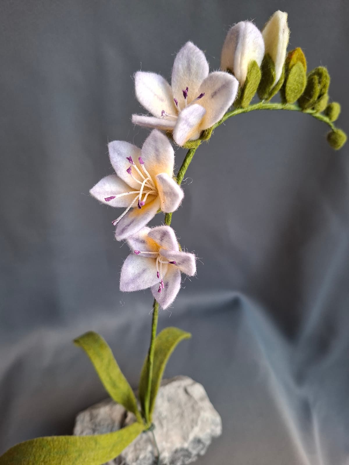 642d1a9f-5c5c-48e2-b6b1-30e55fbe4b42-1_all_1695