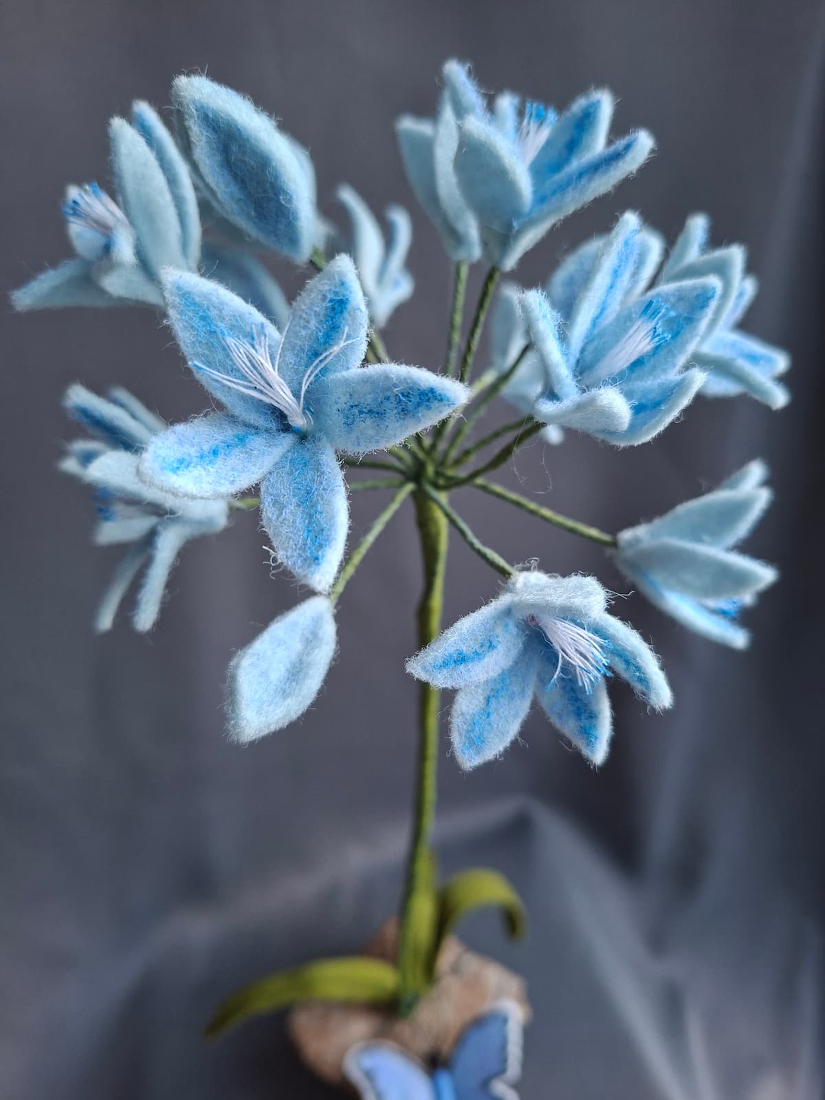 642d1a9f-5c5c-48e2-b6b1-30e55fbe4b42-1_all_1692