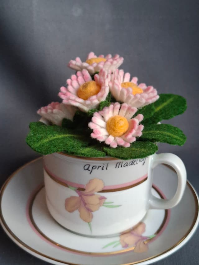 642d1a9f-5c5c-48e2-b6b1-30e55fbe4b42-1_all_2017